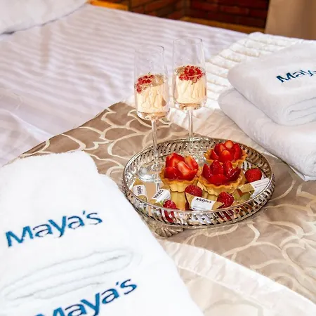 Maya's Flats Dluga 66 Attic アパート