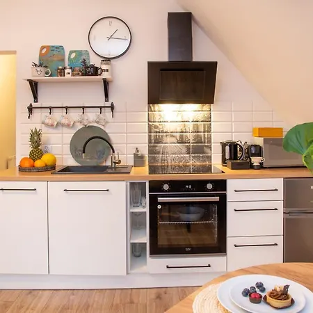 Maya's Flats Dluga 66 Attic