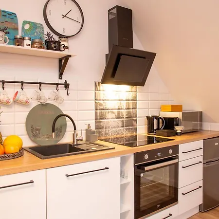 Maya's Flats Dluga 66 Attic * グダニスク