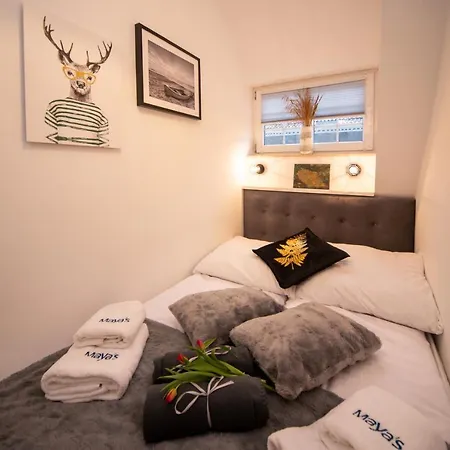 アパート Maya's Flats Dluga 66 Attic