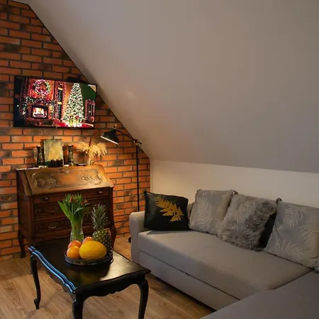 Apartment Dluga 66 Attic *