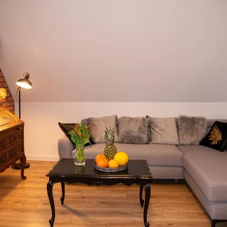 Maya's Flats Dluga 66 Attic *