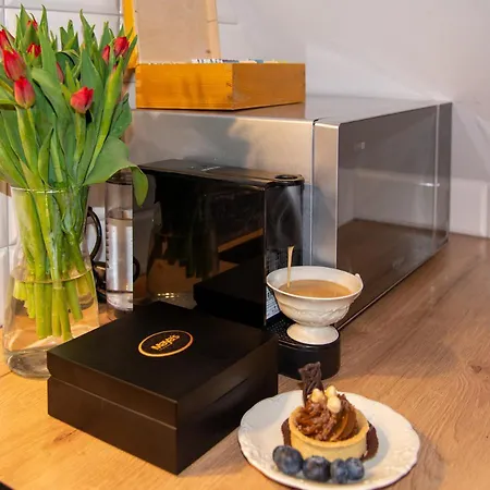 Maya's Flats Dluga 66 Attic Gdańsk