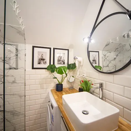 Maya's Flats Dluga 66 Attic *