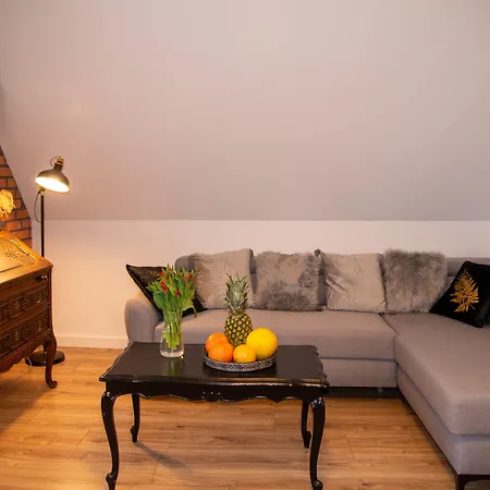 Maya's Flats Dluga 66 Attic アパート *