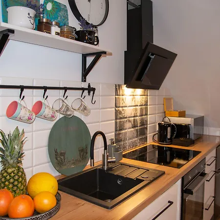 Apartament Maya's Flats Dluga 66 Attic *