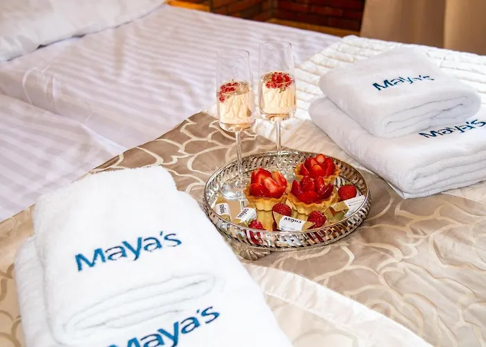 Maya's Flats Dluga 66 Attic Appartement