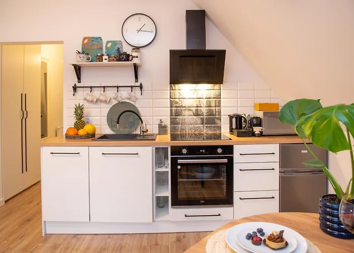 Maya's Flats Dluga 66 Attic