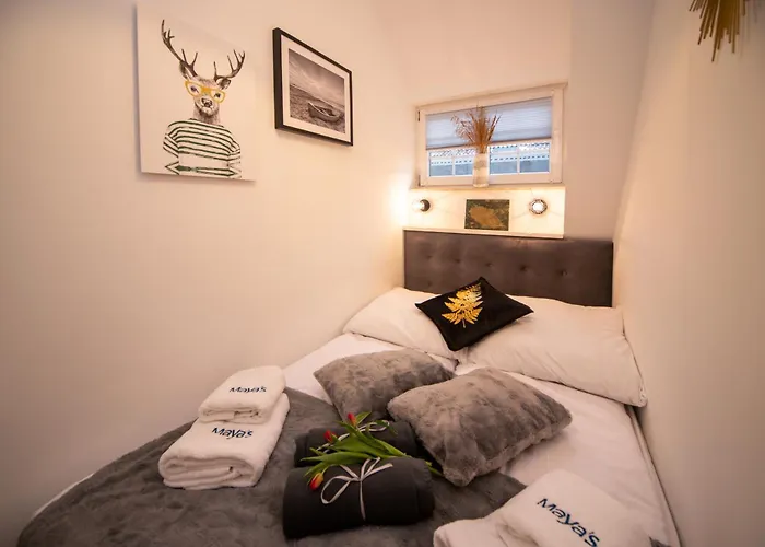 Maya's Flats Dluga 66 Attic *